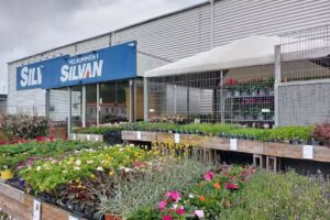 Silvan